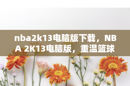 nba2k13电脑版下载，NBA 2K13电脑版，重温篮球经典，体验全新游戏魅力