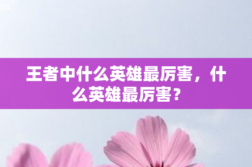 王者中什么英雄最厉害，什么英雄最厉害？