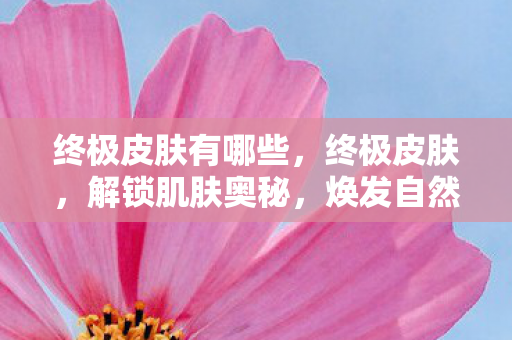 终极皮肤有哪些,终极皮肤,解锁肌肤奥秘,焕发自然光彩 终极皮肤有哪些,终极皮肤,解锁肌肤奥秘,焕发自然光彩