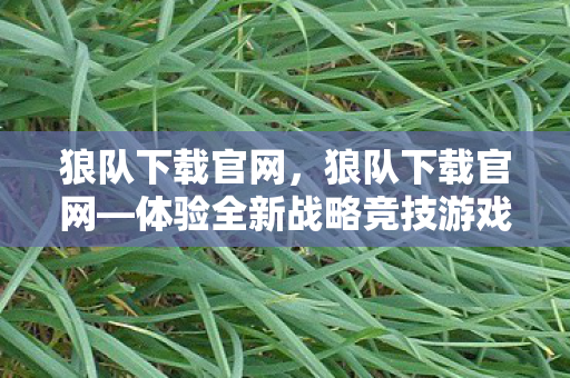 狼队下载官网，狼队下载官网—体验全新战略竞技游戏