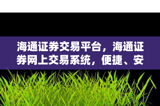 海通证券交易平台，海通证券网上交易系统，便捷、安全、高效的在线投资新体验