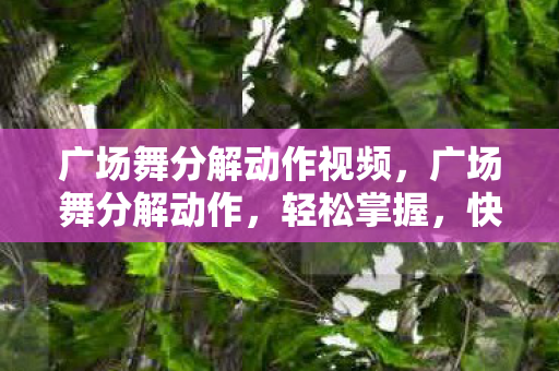 广场舞分解动作视频，广场舞分解动作，轻松掌握，快乐起舞