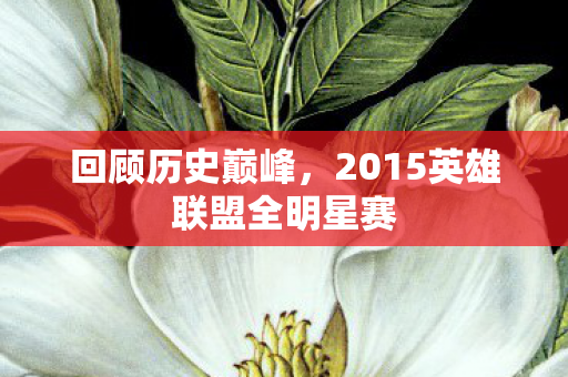 回顾历史巅峰，2015英雄联盟全明星赛