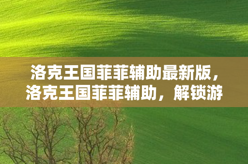 洛克王国菲菲辅助最新版，洛克王国菲菲辅助，解锁游戏乐趣的得力助手