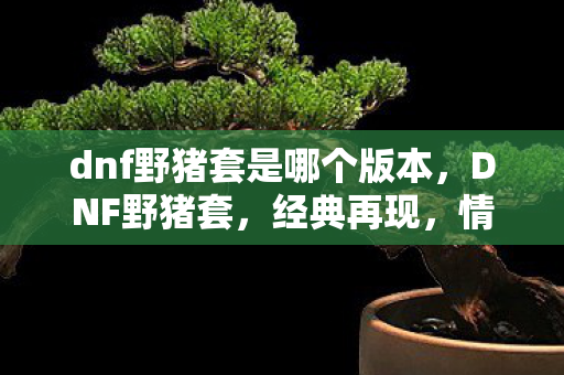 dnf野猪套是哪个版本，DNF野猪套，经典再现，情怀不灭