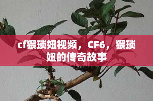 cf猥琐妞视频，CF6，猥琐妞的传奇故事