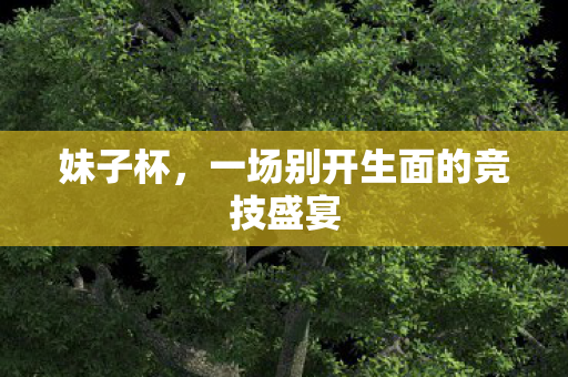 妹子杯，一场别开生面的竞技盛宴