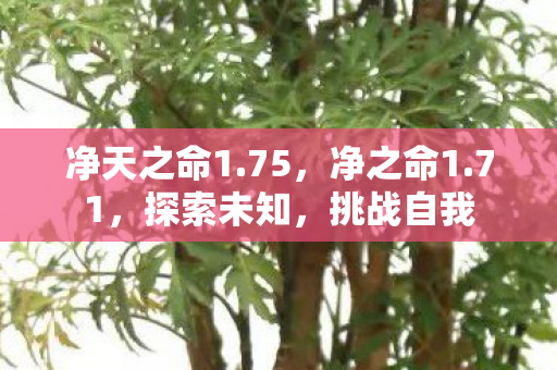 净天之命1.75，净之命1.71，探索未知，挑战自我