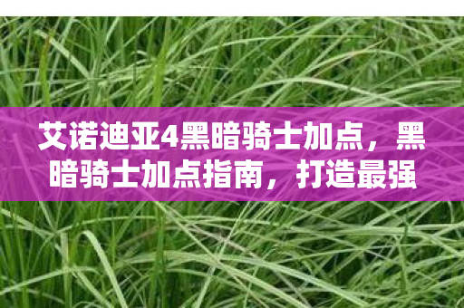 艾诺迪亚4黑暗骑士加点，黑暗骑士加点指南，打造最强战斗力的秘诀
