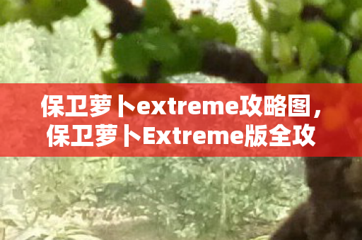 保卫萝卜extreme攻略图，保卫萝卜Extreme版全攻略，打造最强防御，守护你的萝卜！