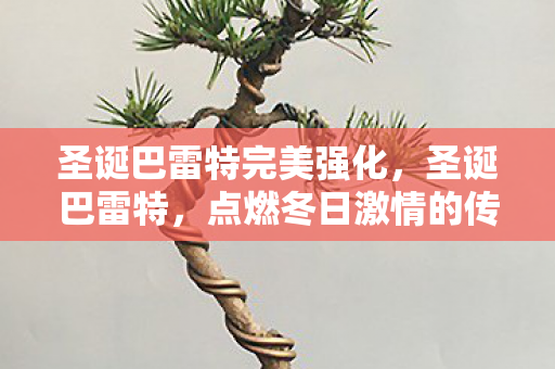 圣诞巴雷特完美强化，圣诞巴雷特，点燃冬日激情的传奇武器