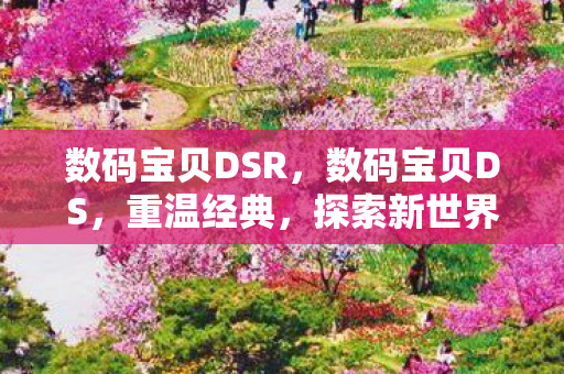 数码宝贝DSR，数码宝贝DS，重温经典，探索新世界的冒险