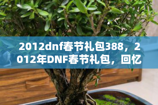 2012dnf春节礼包388，2012年DNF春节礼包，回忆与情怀的交织