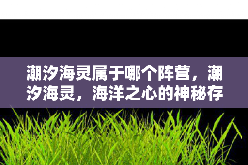 潮汐海灵属于哪个阵营，潮汐海灵，海洋之心的神秘存在