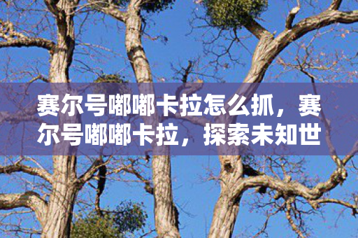 赛尔号嘟嘟卡拉怎么抓,赛尔号嘟嘟卡拉,探索未知世界的奇妙旅程 赛尔号嘟嘟卡拉怎么抓,赛尔号嘟嘟卡拉,探索未知世界的奇妙旅程