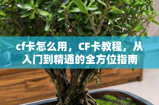 cf卡怎么用，CF卡教程，从入门到精通的全方位指南