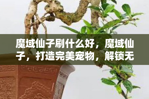 魔域仙子刷什么好,魔域仙子,打造完美宠物,解锁无限可能 魔域仙子刷什么好,魔域仙子,打造完美宠物,解锁无限可能