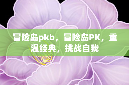 冒险岛pkb，冒险岛PK，重温经典，挑战自我