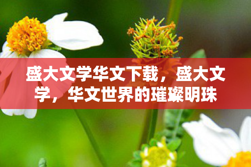 华文世界的璀璨明珠图片