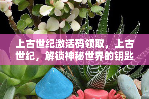 上古世纪激活码领取，上古世纪，解锁神秘世界的钥匙——激活码详解