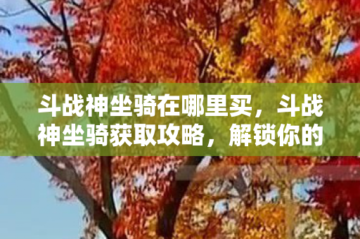 斗战神坐骑在哪里买，斗战神坐骑获取攻略，解锁你的飞行之旅