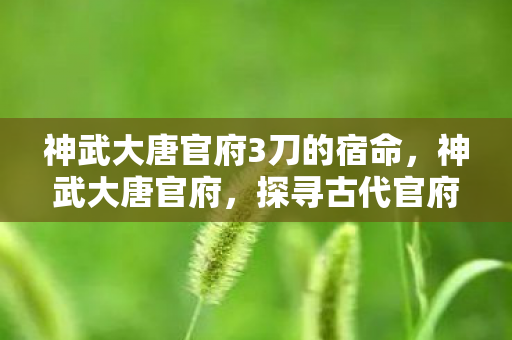 神武大唐官府3刀的宿命，神武大唐官府，探寻古代官府文化的魅力