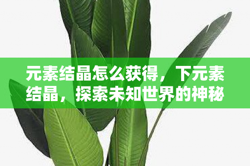 元素结晶怎么获得，下元素结晶，探索未知世界的神秘钥匙