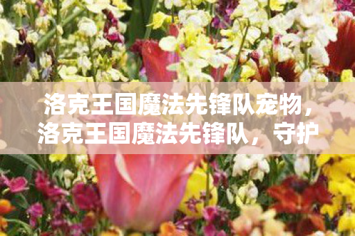 洛克王国魔法先锋队宠物，洛克王国魔法先锋队，守护王国的神秘力量