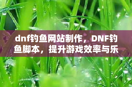 dnf钓鱼网站制作，DNF钓鱼脚本，提升游戏效率与乐趣的实用工具