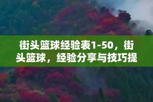 街头篮球经验表1-50，街头篮球，经验分享与技巧提升