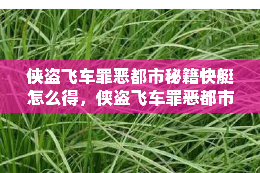 侠盗飞车罪恶都市秘籍快艇怎么得，侠盗飞车罪恶都市秘籍，解锁快艇，畅游罪恶之城