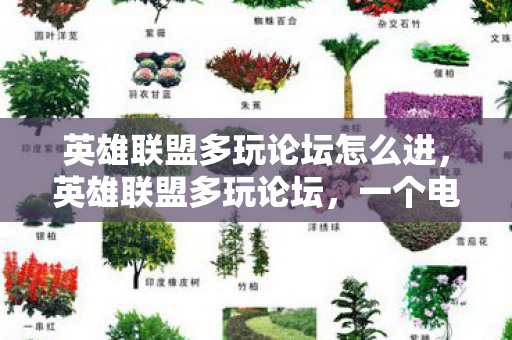 英雄联盟多玩论坛怎么进，英雄联盟多玩论坛，一个电竞爱好者的精神家园