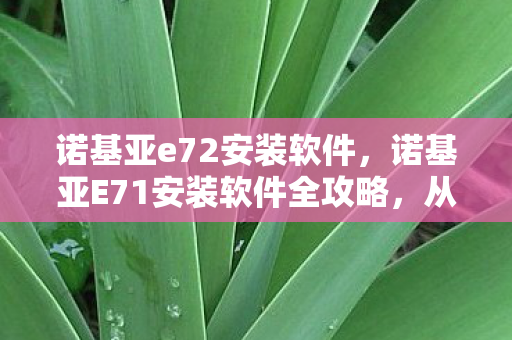 诺基亚e72安装软件，诺基亚E71安装软件全攻略，从入门到精通