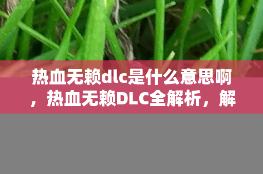 热血无赖dlc是什么意思啊，热血无赖DLC全解析，解锁游戏新世界的钥匙