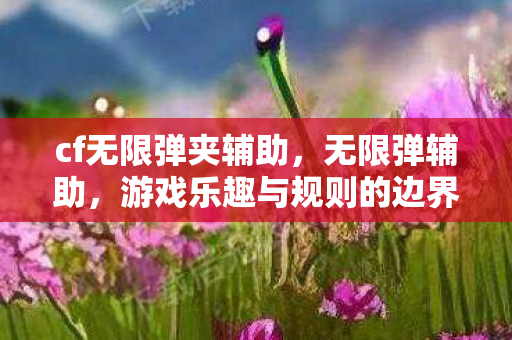 cf无限弹夹辅助,无限弹辅助,游戏乐趣与规则的边界 cf无限弹夹辅助,无限弹辅助,游戏乐趣与规则的边界