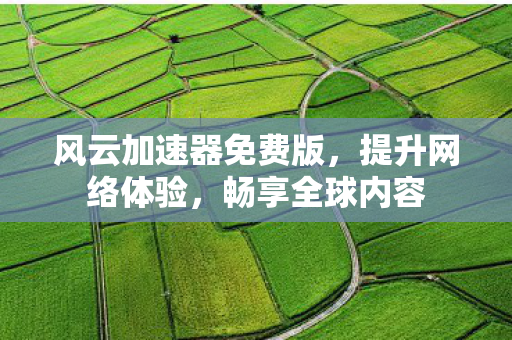 风云加速器免费版，提升网络体验，畅享全球内容