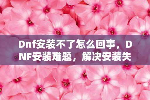 Dnf安装不了怎么回事，DNF安装难题，解决安装失败的方法与技巧