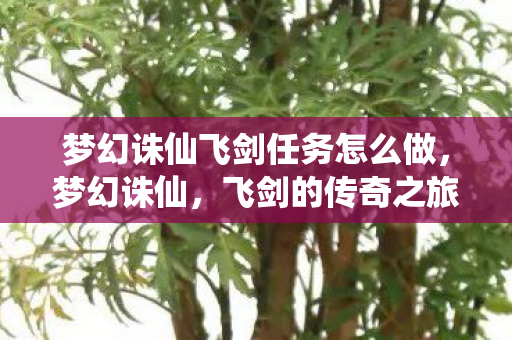 梦幻诛仙飞剑任务怎么做，梦幻诛仙，飞剑的传奇之旅