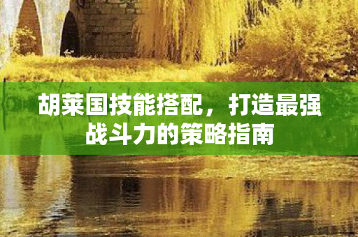 胡莱国技能搭配，打造最强战斗力的策略指南