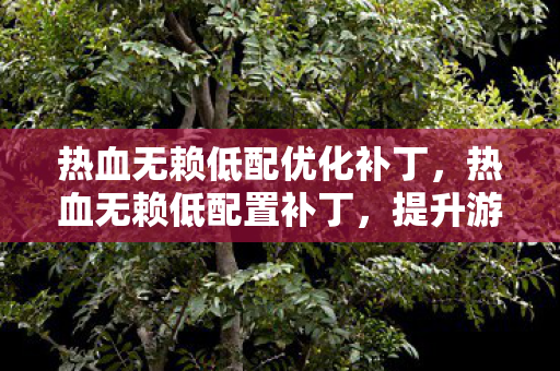热血无赖低配优化补丁，热血无赖低配置补丁，提升游戏体验的利器