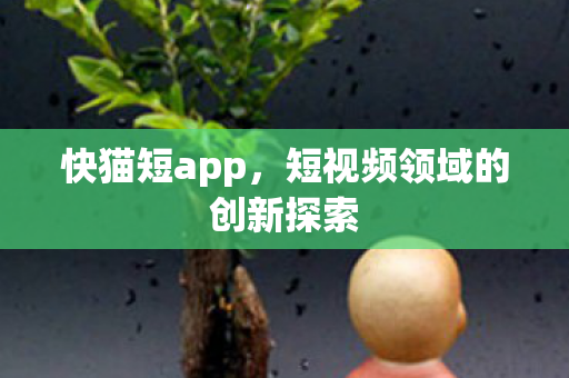 快猫短app，短视频领域的创新探索