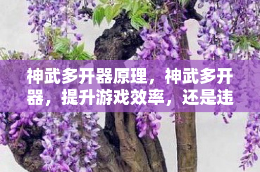 神武多开器原理，神武多开器，提升游戏效率，还是违规操作？