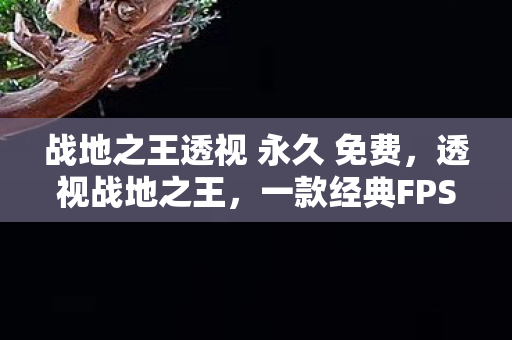 战地之王透视 永久 免费，透视战地之王，一款经典FPS的传奇与未来