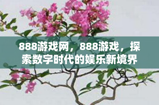 888游戏网，888游戏，探索数字时代的娱乐新境界