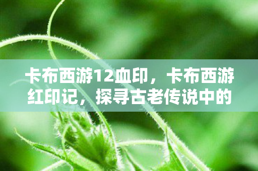 卡布西游12血印，卡布西游红印记，探寻古老传说中的神秘符号