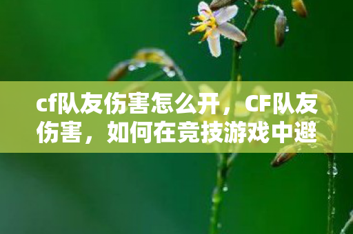 cf队友伤害怎么开，CF队友伤害，如何在竞技游戏中避免不必要的纷争