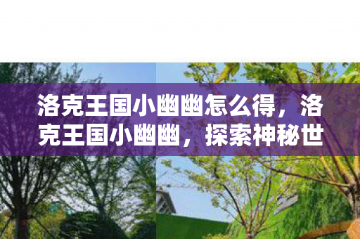 洛克王国小幽幽怎么得，洛克王国小幽幽，探索神秘世界的奇妙之旅