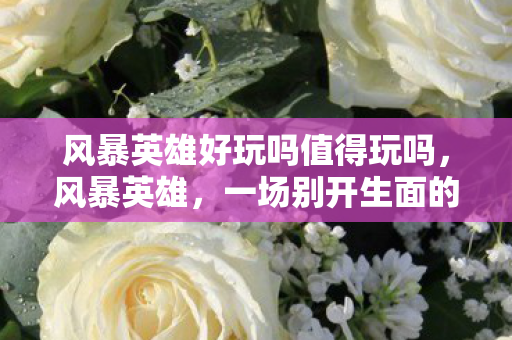 风暴英雄好玩吗值得玩吗，风暴英雄，一场别开生面的英雄大乱斗