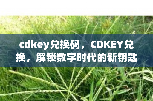 cdkey兑换码，CDKEY兑换，解锁数字时代的新钥匙