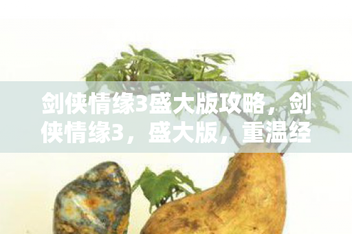 剑侠情缘3盛大版攻略，剑侠情缘3，盛大版，重温经典武侠梦